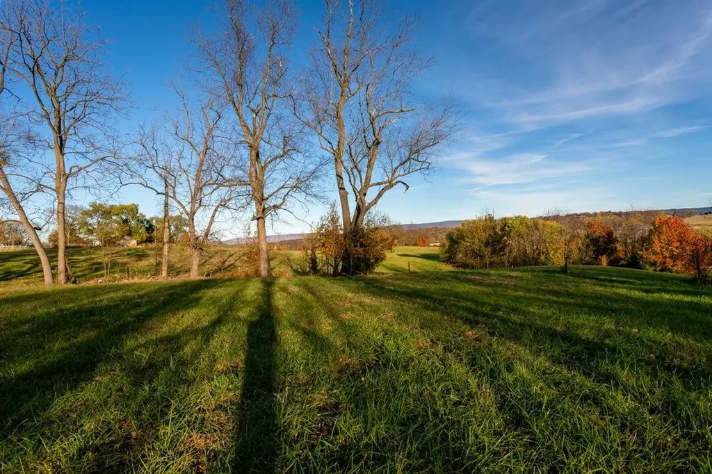 3190 Winsinger Drive Broadway VA 22815