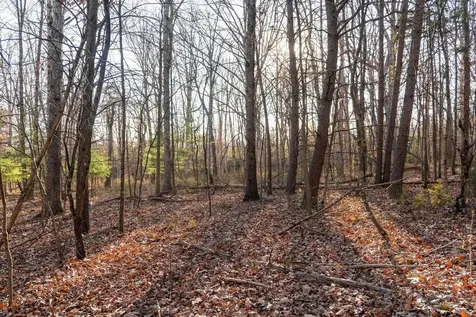 0 Woodland Drive Luray VA 22835