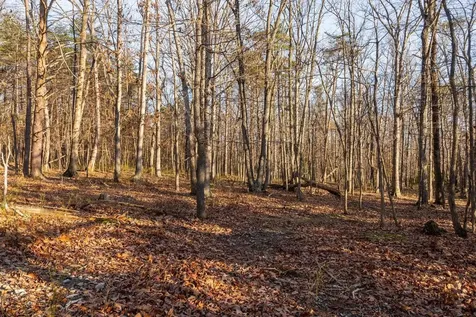 0 Woodland Drive Luray VA 22835