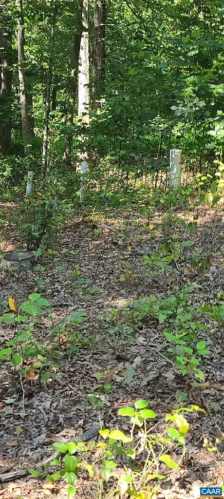 12 Langdon Woods Drive Dyke VA 22935