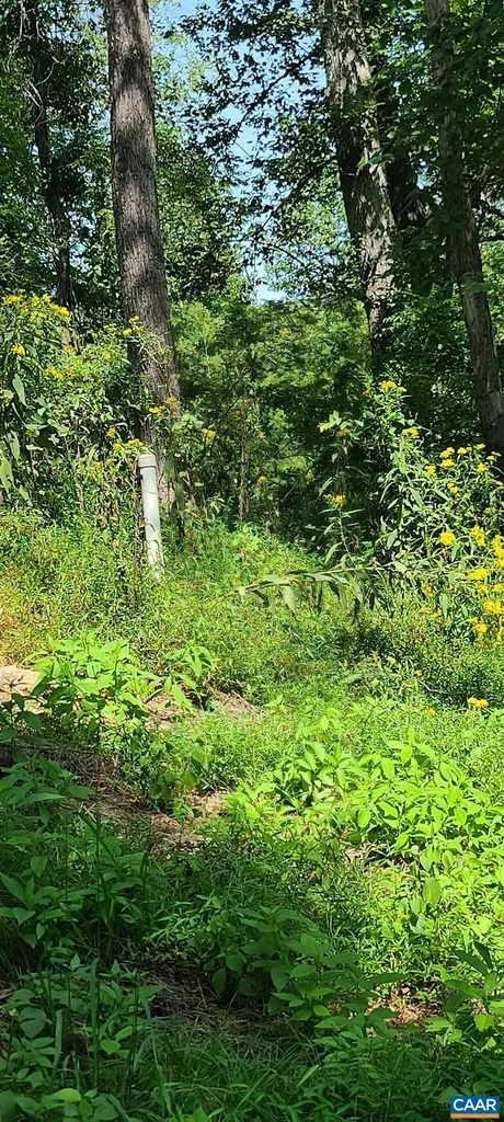 12 Langdon Woods Drive Dyke VA 22935