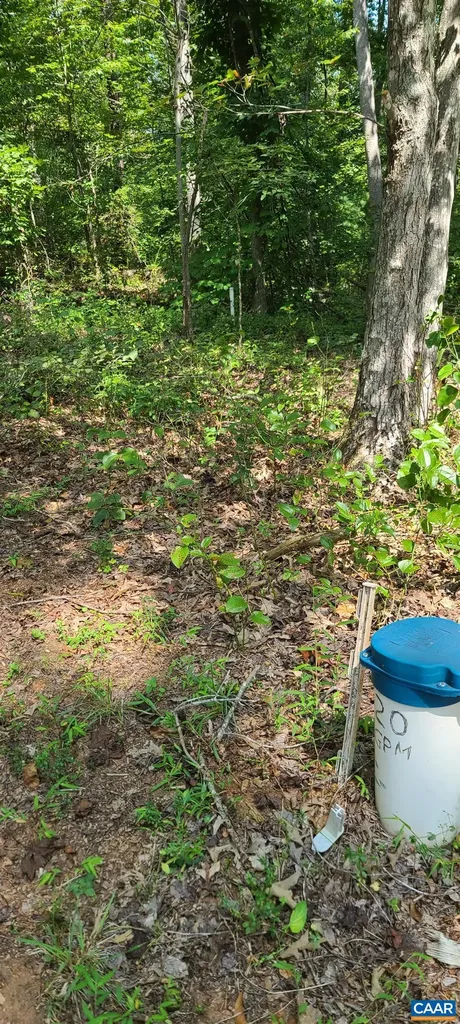 12 Langdon Woods Drive Dyke VA 22935