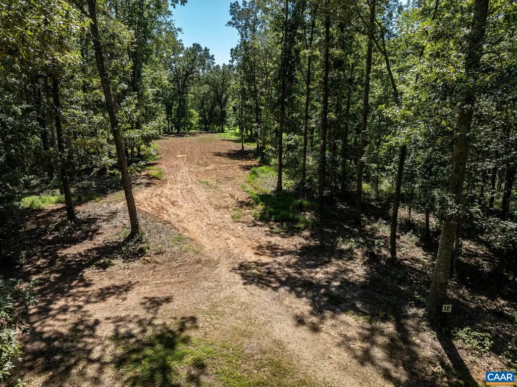 12 Langdon Woods Drive Dyke VA 22935
