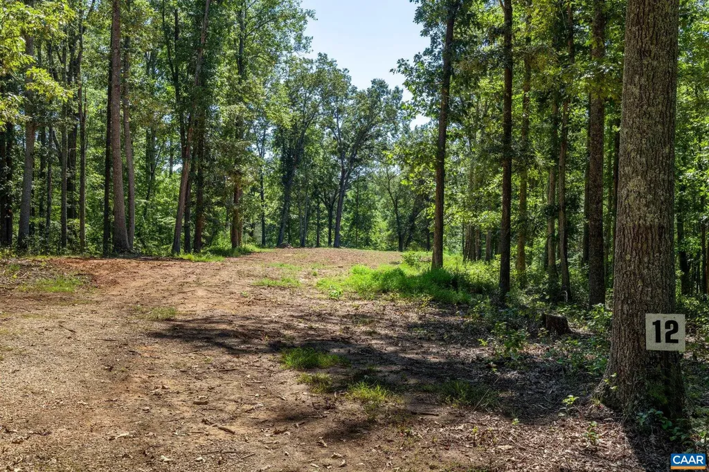 12 Langdon Woods Drive Dyke VA 22935