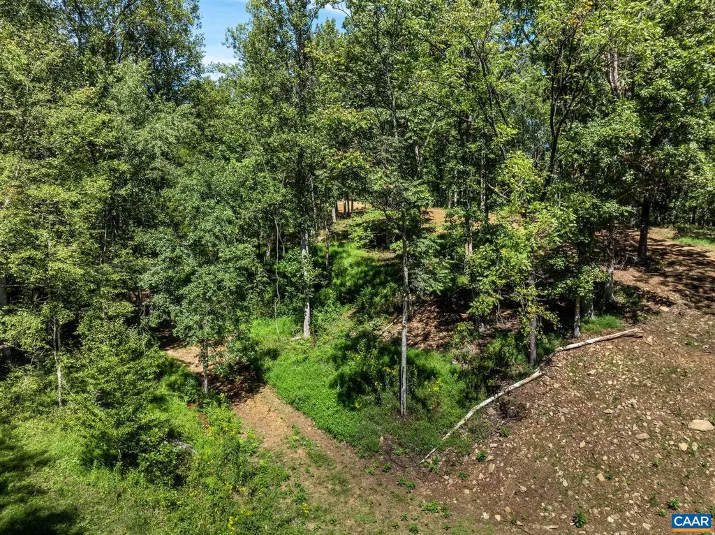 12 Langdon Woods Drive Dyke VA 22935