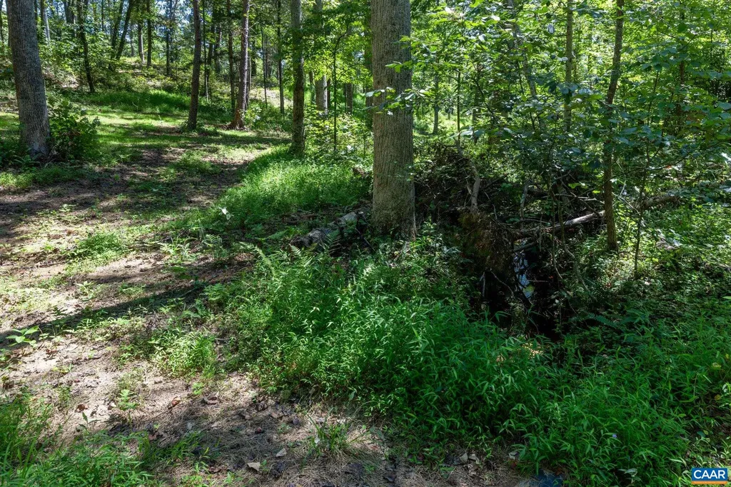 12 Langdon Woods Drive Dyke VA 22935