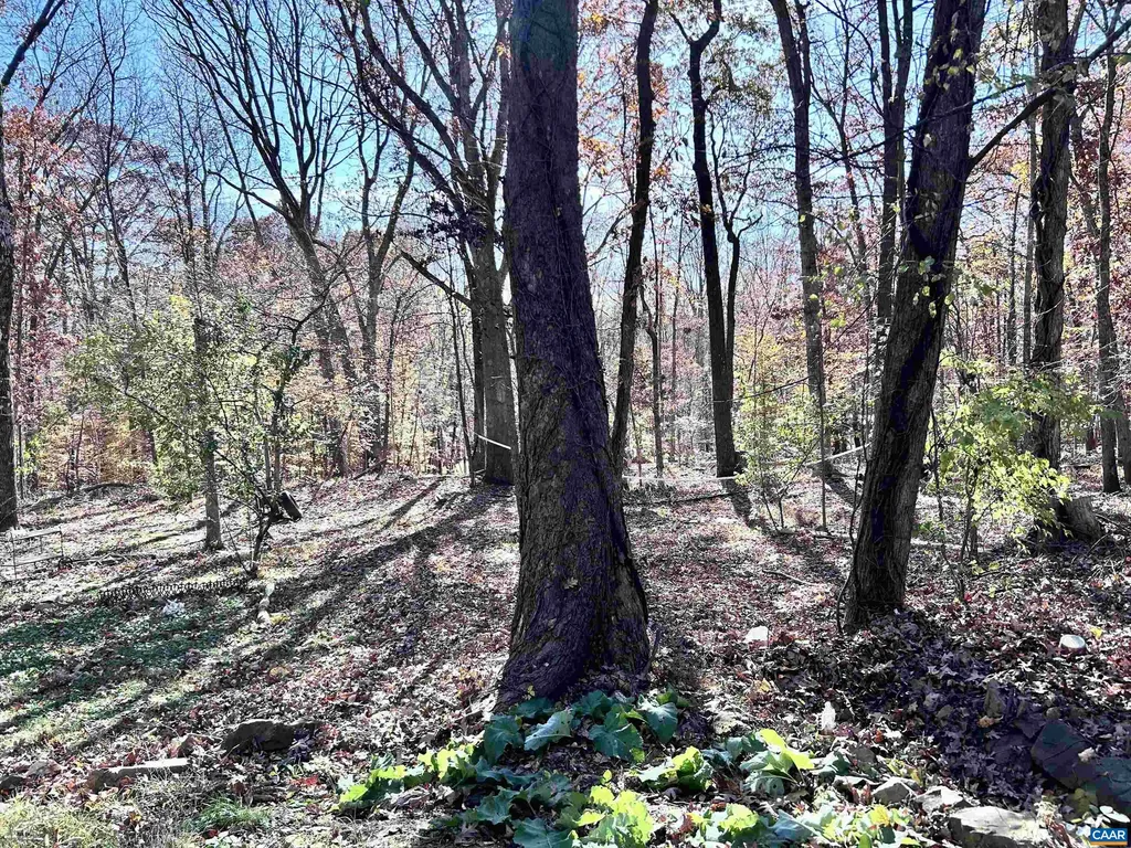 2003 Sweet Hollow Lane Charlottesville VA 22903