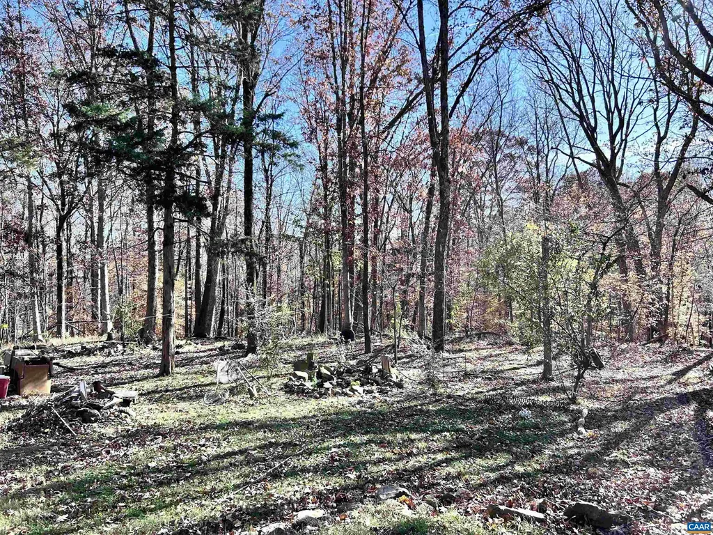 2003 Sweet Hollow Lane Charlottesville VA 22903