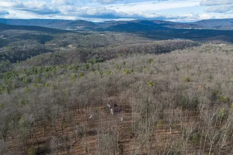 800 Cove Mountain Road Mathias WV 26812