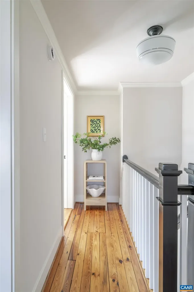 1107 Myrtle Street Charlottesville VA 22902