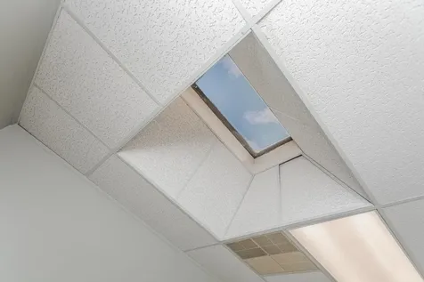 66 Water Street W Harrisonburg VA 22801