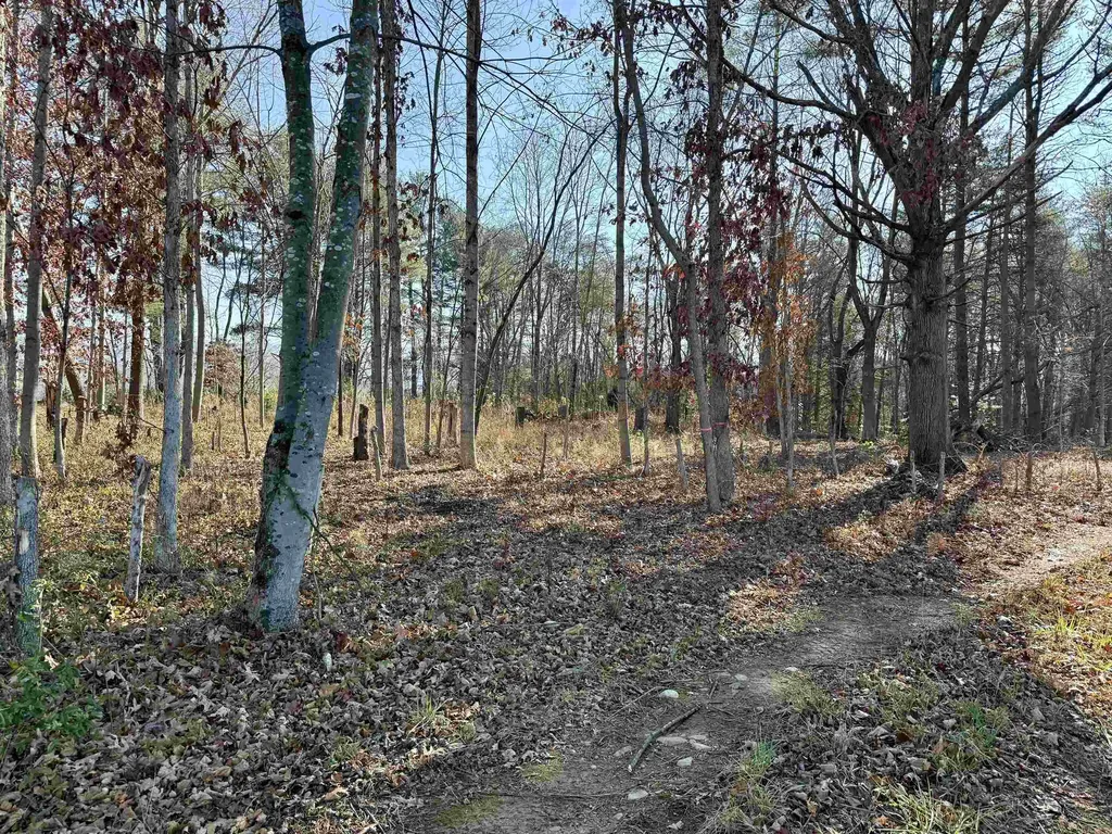 Tbd Huckleberry Road Elkton VA 22827