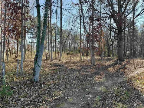 Tbd Huckleberry Road Elkton VA 22827