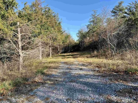 Harper Valley Road Luray VA 22835