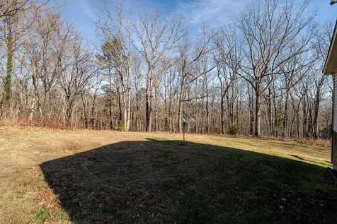 89 Bitter Root Drive Shenandoah VA 22849