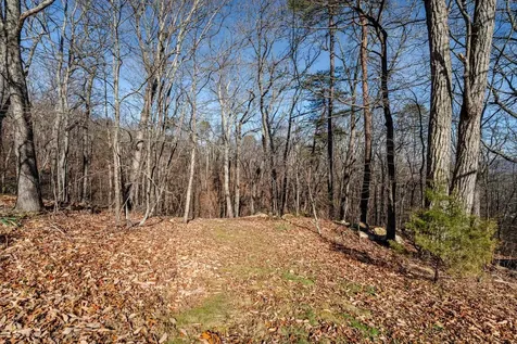 89 Bitter Root Drive Shenandoah VA 22849
