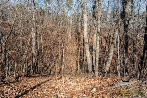 89 Bitter Root Drive Shenandoah VA 22849