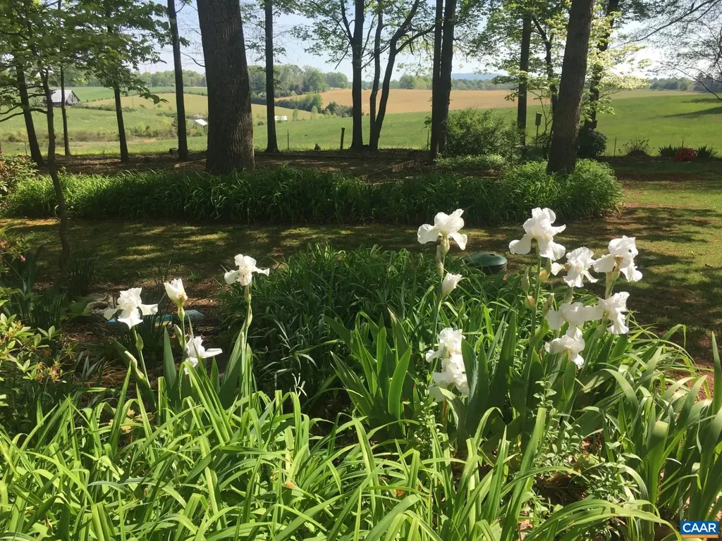 255 Sadie Lane Madison VA 22727