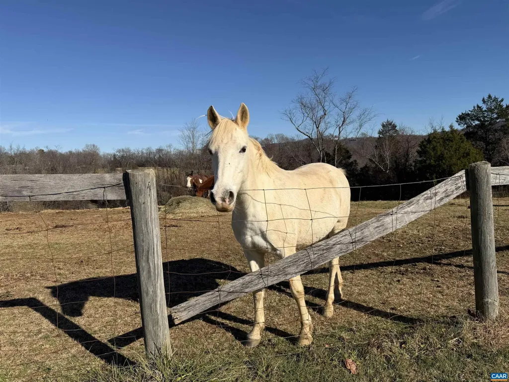 987 Rodes Farm Drive Nellysford VA 22958