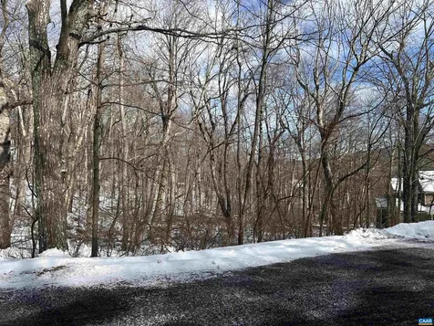 25 Poll Axe Lane Wintergreen Resort VA 22967