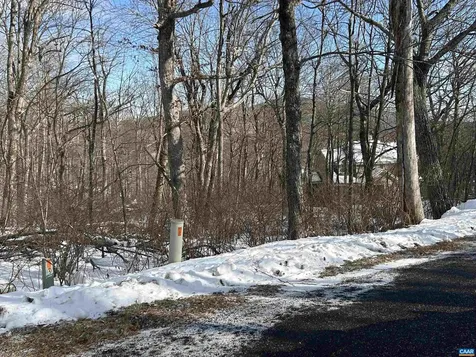 25 Poll Axe Lane Wintergreen Resort VA 22967
