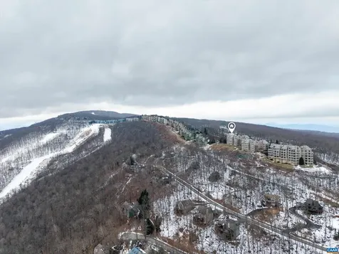 1802 High Ridge Ct Condos Wintergreen Resort VA 22967