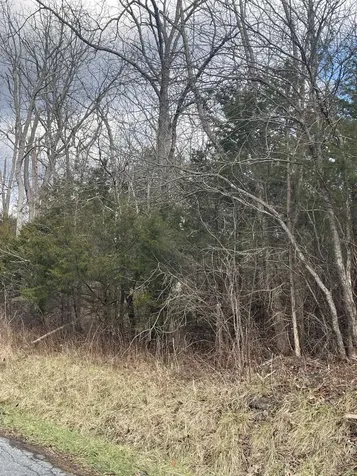 Tbd Walker Creek Road Middlebrook VA 24459
