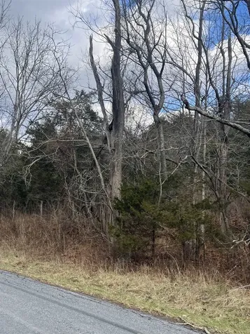 Tbd Walker Creek Road Middlebrook VA 24459