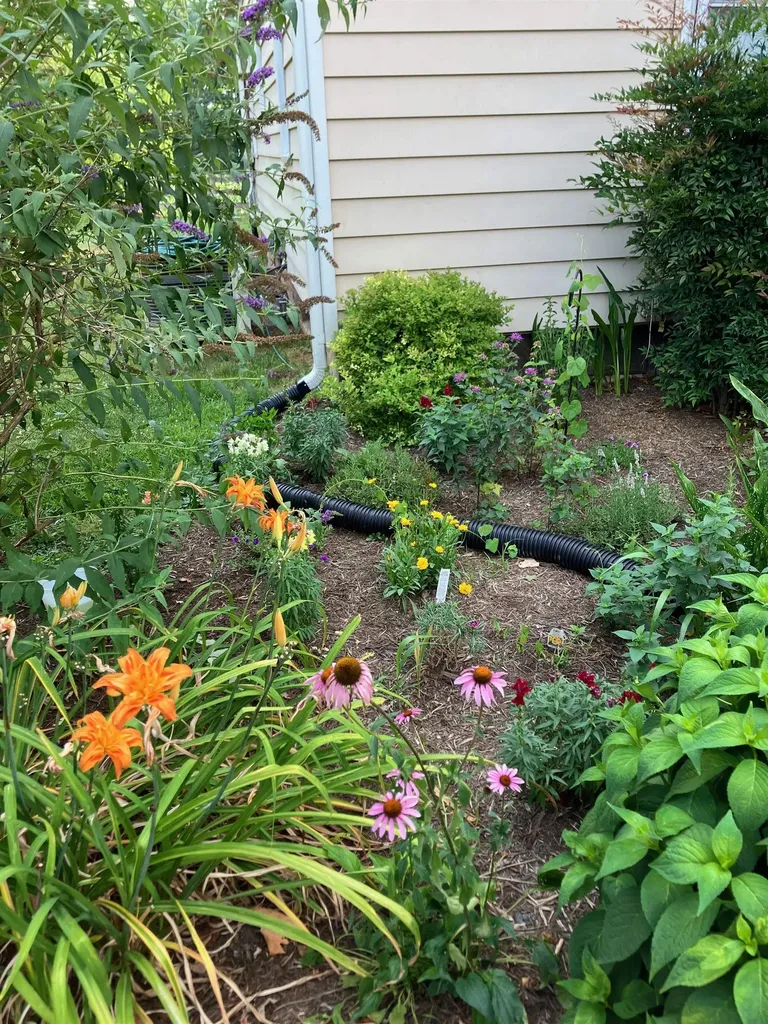 7011 South East Side Highway Elkton VA 22827