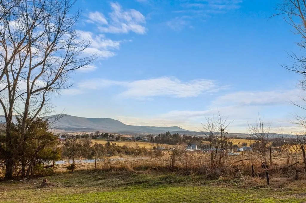 11481 Zirkle Lane Broadway VA 22815