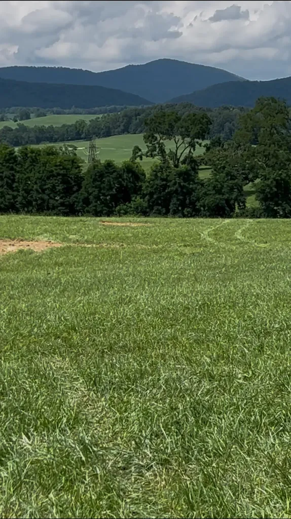 Tbd Roudabush Lane Churchville VA 24421