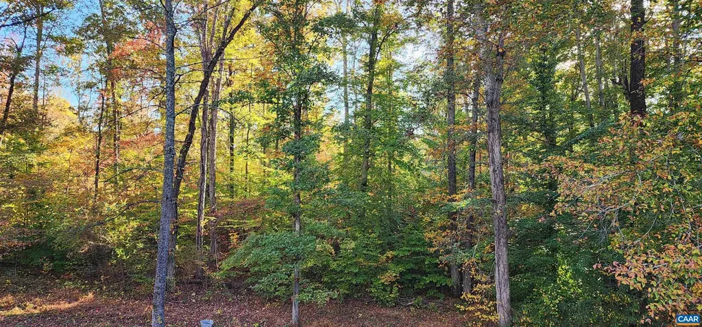 15070 Albano Road Barboursville VA 22923