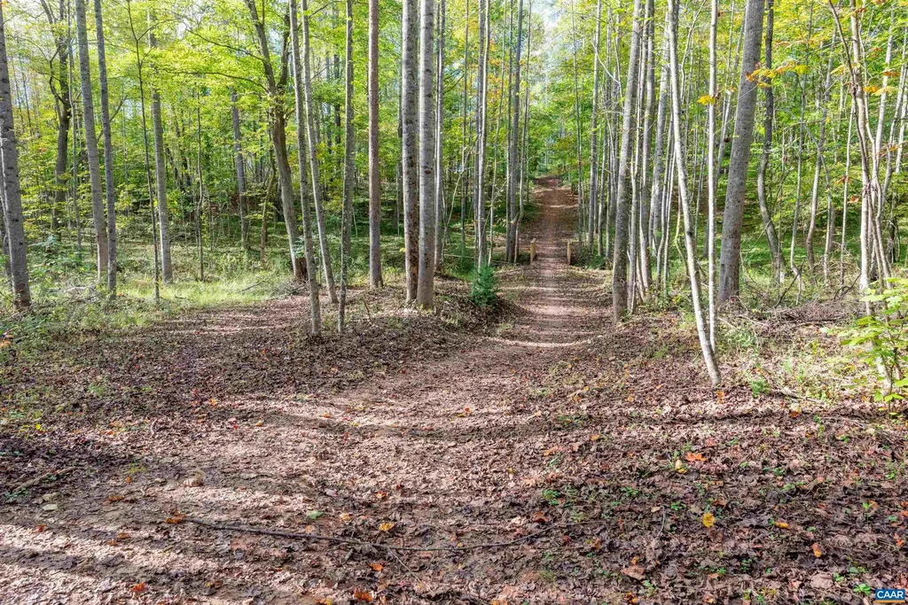 1774 Warbler Way Charlottesville VA 22903