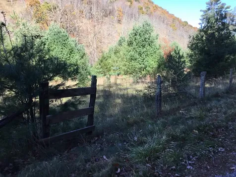 2817 Dry Run Road Franklin WV 26807