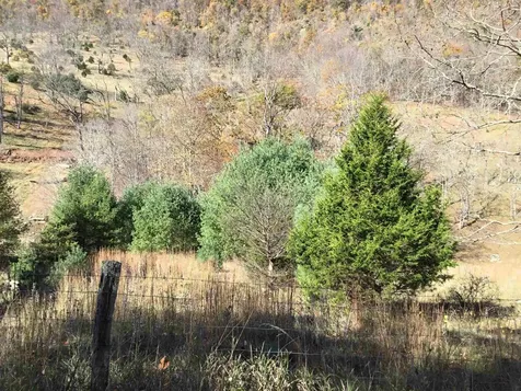 2817 Dry Run Road Franklin WV 26807