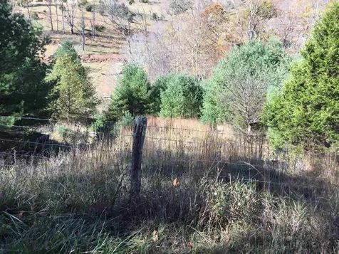 2817 Dry Run Road Franklin WV 26807