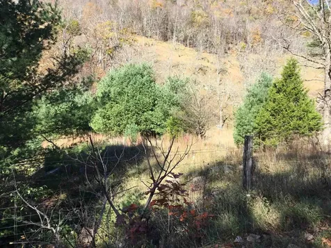 2817 Dry Run Road Franklin WV 26807