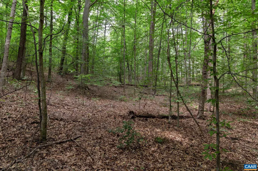 242 Palmer Place Ruckersville VA 22968