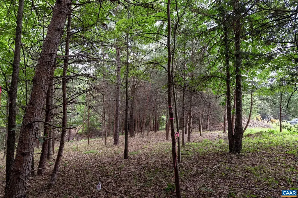 242 Palmer Place Ruckersville VA 22968