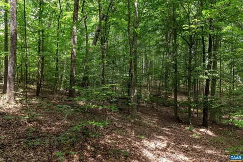 242 Palmer Place Ruckersville VA 22968