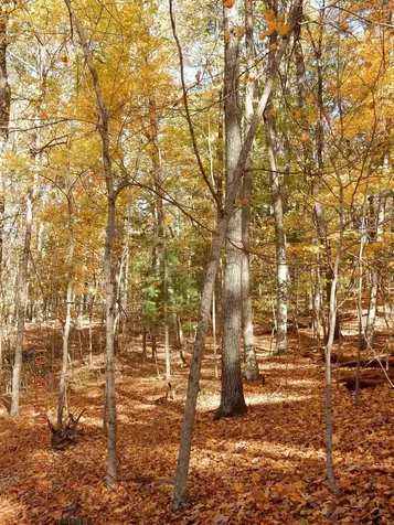47 Quarry Hill Road Hot Springs VA 24445