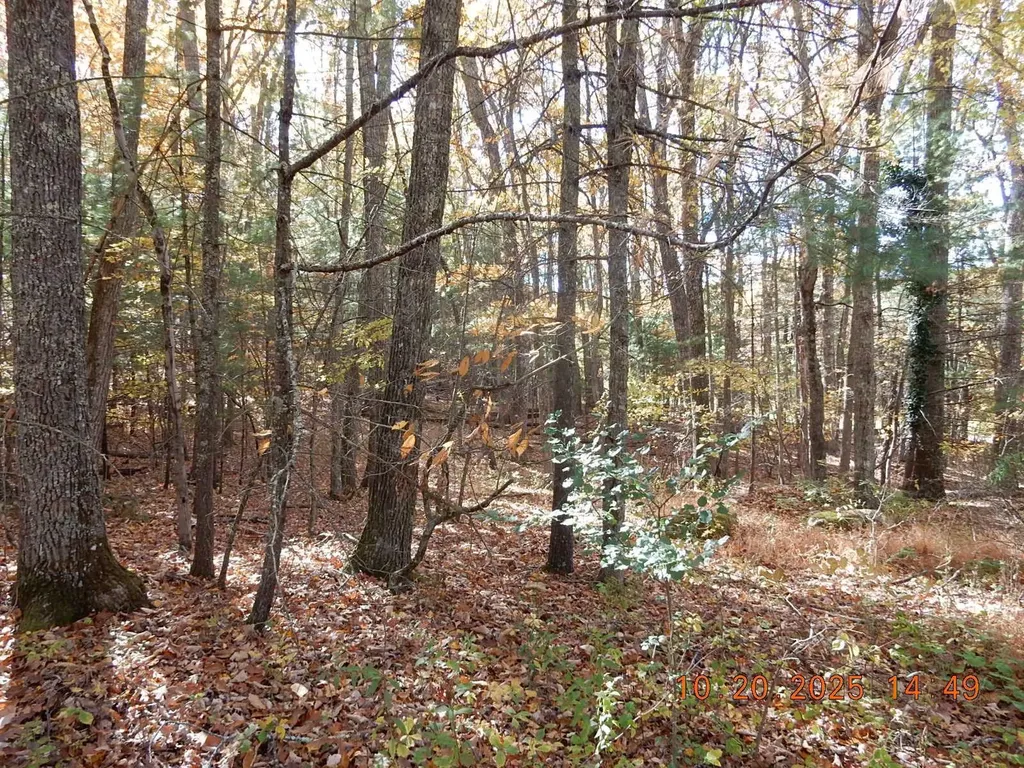 21 Shepherds Trail Hot Springs VA 24445