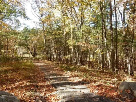 21 Shepherds Trail Hot Springs VA 24445