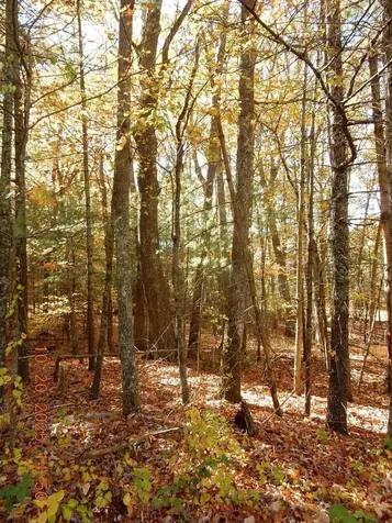 21 Shepherds Trail Hot Springs VA 24445