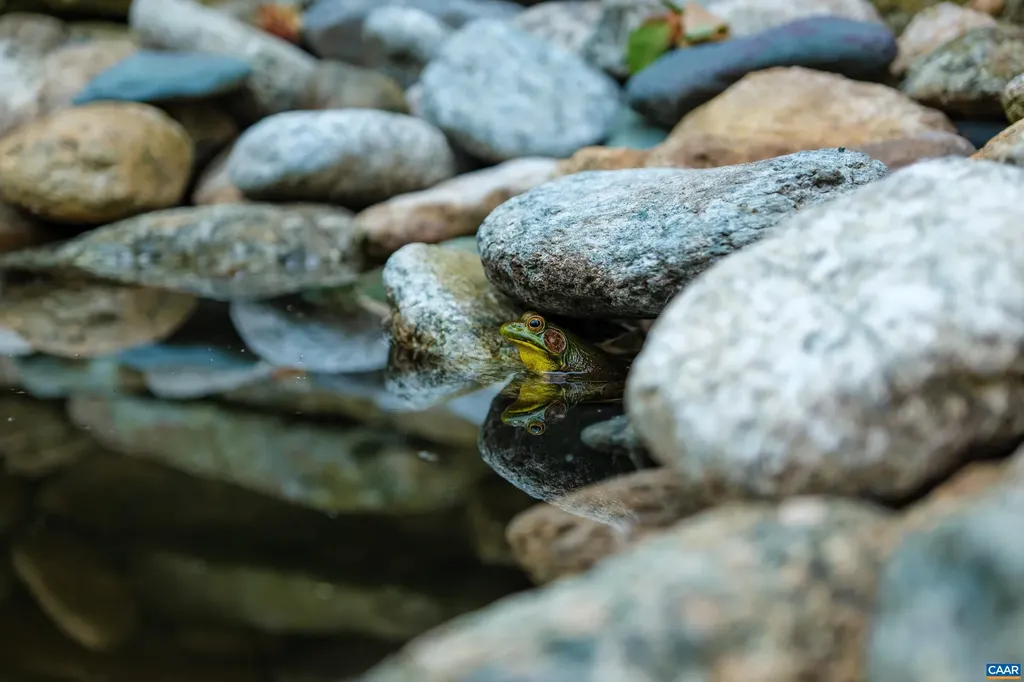 4375 Taylor Creek Road Afton VA 22920