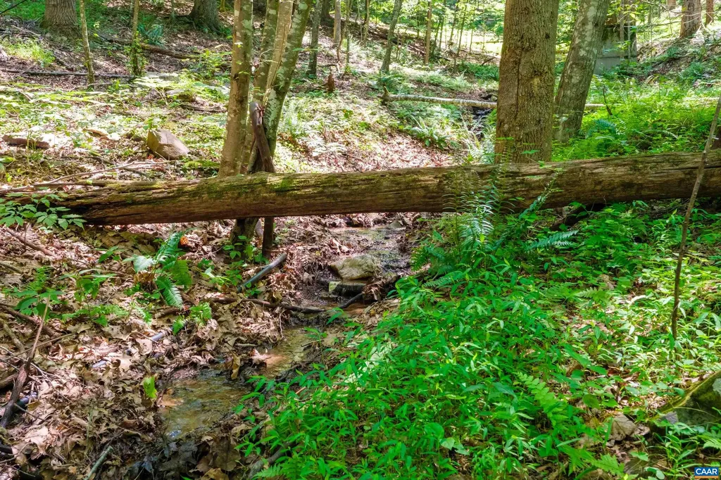 4375 Taylor Creek Road Afton VA 22920