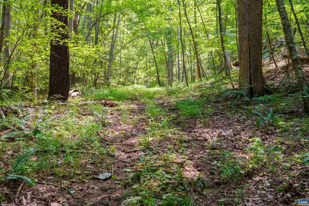 4375 Taylor Creek Road Afton VA 22920