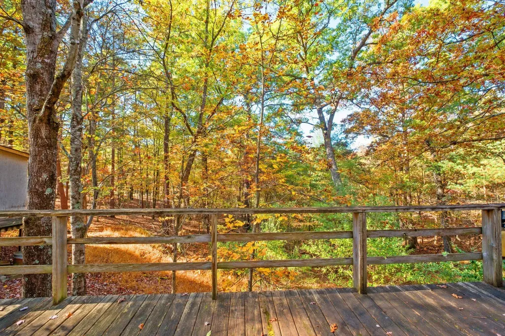 16313 Moonrise Lane Broadway VA 22815