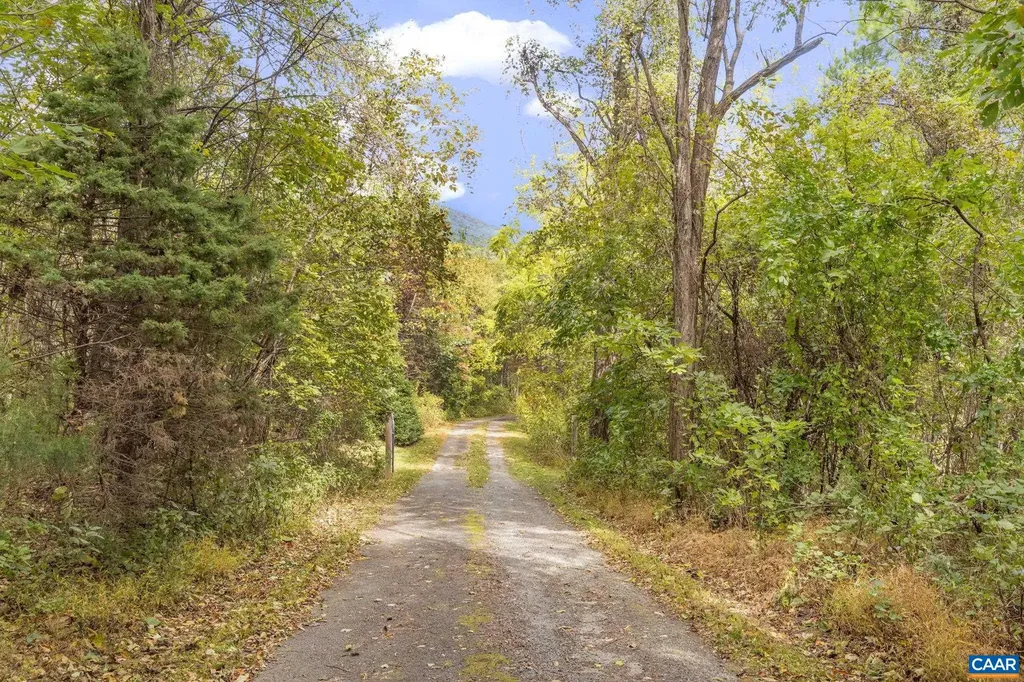 9281 Dick Woods Road Afton VA 22920