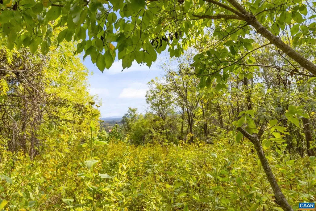 9281 Dick Woods Road Afton VA 22920